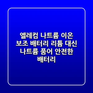 엘레컴 나트륨 이온 보조 배터리: 리튬 대신 나트륨 품어 안전한 배터리