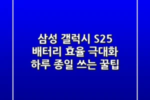 삼성 갤럭시 S25 배터리 효율 극대화: 하루 종일 쓰는 꿀팁!