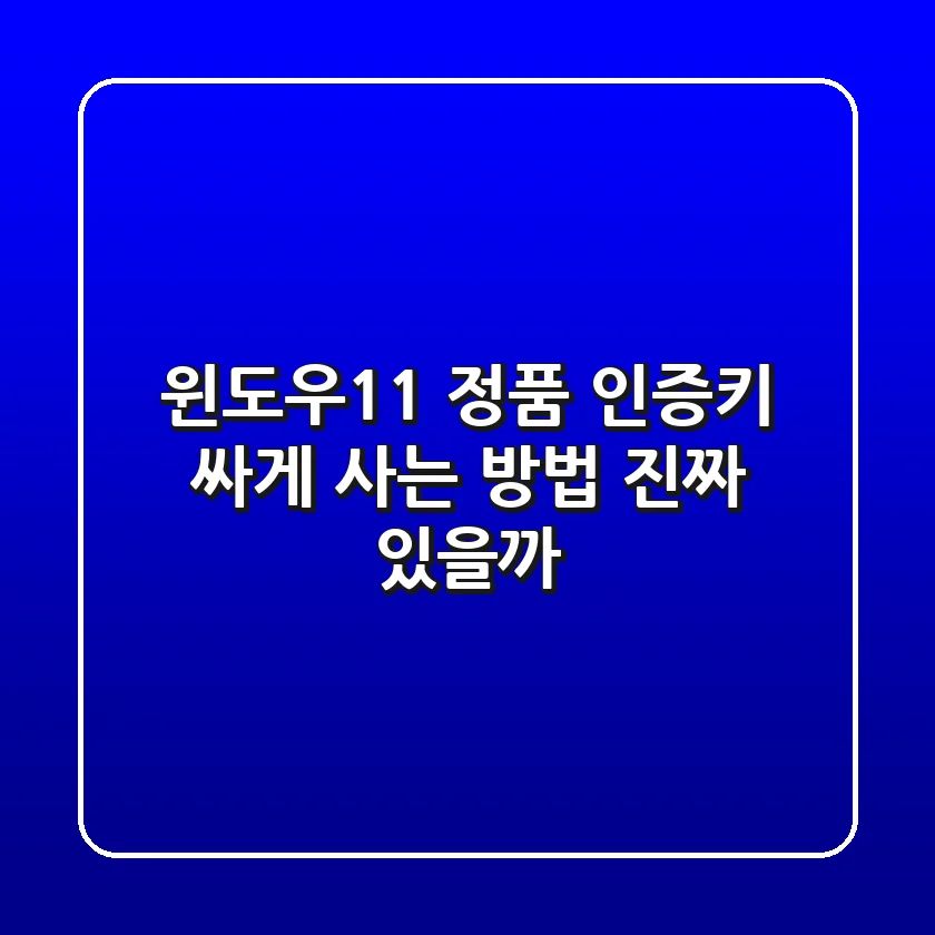 윈도우11 정품 인증키 싸게 사는 방법, 진짜 있을까?