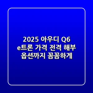 2025 아우디 Q6 e-트론 가격 전격 해부! 옵션까지 꼼꼼하게