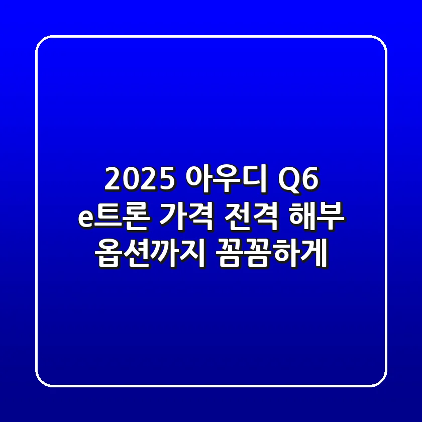 2025 아우디 Q6 e-트론 가격 전격 해부! 옵션까지 꼼꼼하게