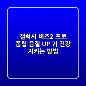 갤럭시 버즈2 프로 폼팁: 음질 UP! 귀 건강 지키는 방법