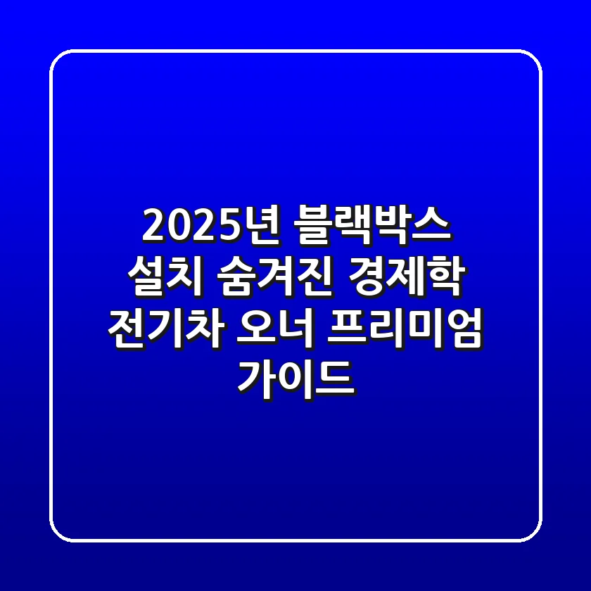 2025년 블랙박스 설치, 숨겨진 경제학: 전기차 오너 프리미엄 가이드