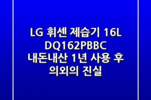 LG 휘센 제습기 16L DQ162PBBC, 내돈내산 1년 사용 후 의외의 진실