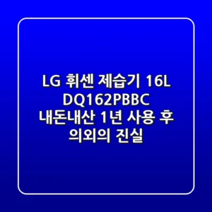 LG 휘센 제습기 16L DQ162PBBC, 내돈내산 1년 사용 후 의외의 진실