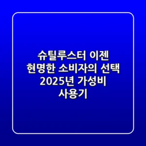 슈틸루스터, 이젠 현명한 소비자의 선택! 2025년 가성비 사용기