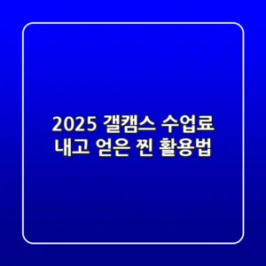 2025 갤캠스: 수업료 내고 얻은 찐 활용법