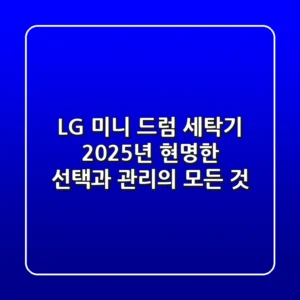 LG 미니 드럼 세탁기, 2025년 현명한 선택과 관리의 모든 것