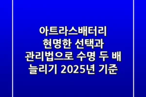 아트라스배터리, 현명한 선택과 관리법으로 수명 두 배 늘리기 (2025년 기준)