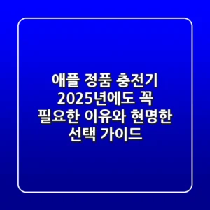 애플 정품 충전기, 2025년에도 꼭 필요한 이유와 현명한 선택 가이드