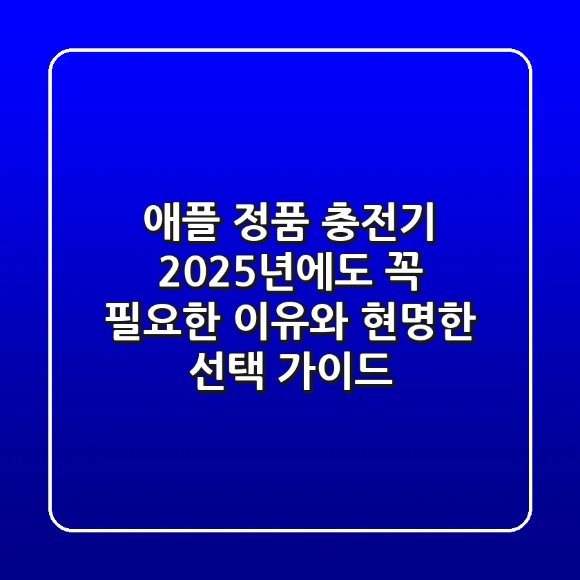 애플 정품 충전기, 2025년에도 꼭 필요한 이유와 현명한 선택 가이드