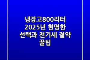 냉장고800리터, 2025년 현명한 선택과 전기세 절약 꿀팁