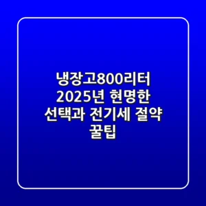 냉장고800리터, 2025년 현명한 선택과 전기세 절약 꿀팁