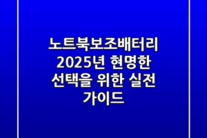 노트북보조배터리, 2025년 현명한 선택을 위한 실전 가이드