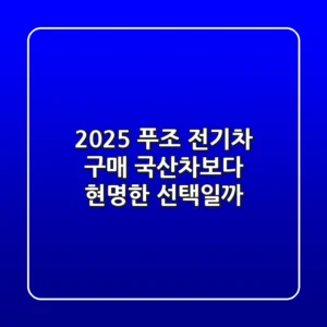2025 푸조 전기차 구매, 국산차보다 현명한 선택일까?