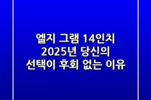 엘지 그램 14인치, 2025년 당신의 선택이 후회 없는 이유