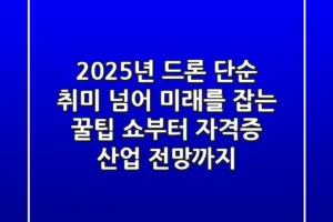 2025년 드론: 단순 취미 넘어 미래를 잡는 꿀팁, 쇼부터 자격증, 산업 전망까지