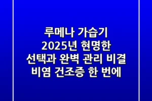 루메나 가습기, 2025년 현명한 선택과 완벽 관리 비결 (비염, 건조증 한 번에!)
