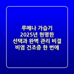 루메나 가습기, 2025년 현명한 선택과 완벽 관리 비결 (비염, 건조증 한 번에!)
