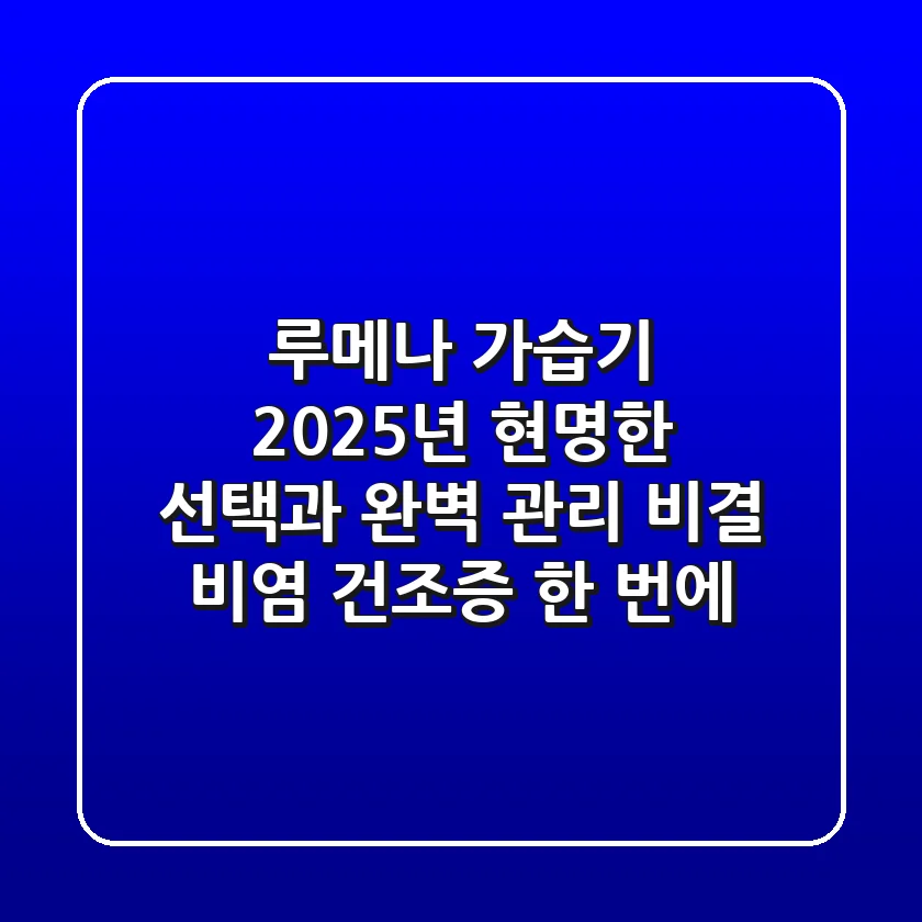 루메나 가습기, 2025년 현명한 선택과 완벽 관리 비결 (비염, 건조증 한 번에!)