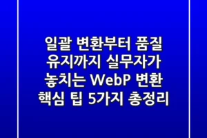 “일괄 변환부터 품질 유지까지”, 실무자가 놓치는 WebP 변환 핵심 팁 5가지 총정리