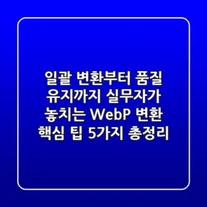 "일괄 변환부터 품질 유지까지", 실무자가 놓치는 WebP 변환 핵심 팁 5가지 총정리