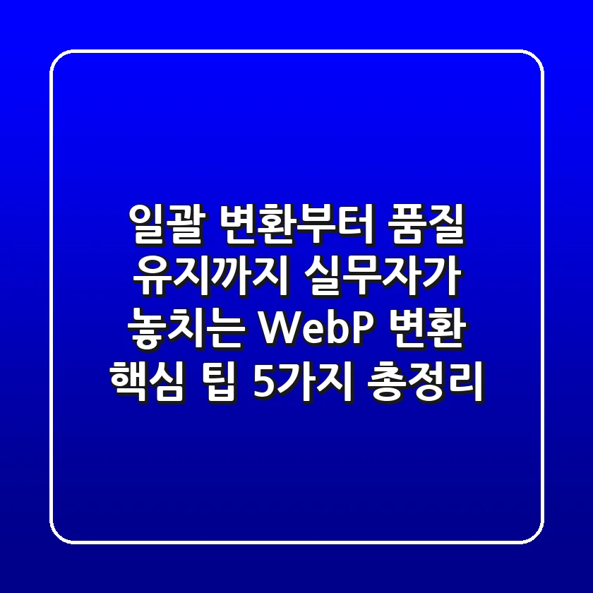 "일괄 변환부터 품질 유지까지", 실무자가 놓치는 WebP 변환 핵심 팁 5가지 총정리